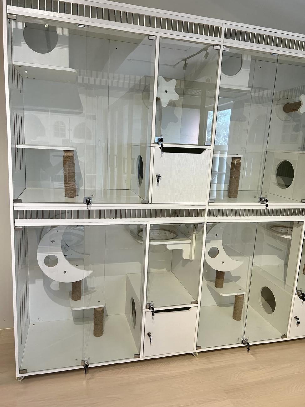 Chamber Suites: wide two-level glass rooms with star perches and hideouts