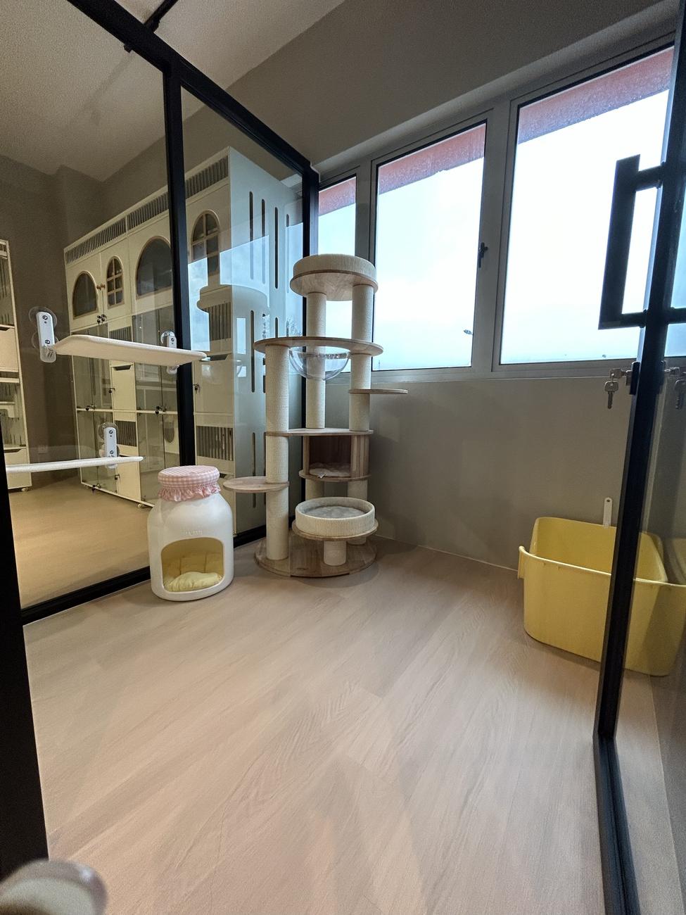 VIP Suite: a private glass-walled room by the windows with a tall cat tree